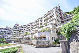 プリシード本厚木
