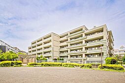 ミオカステーロ港北II