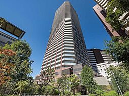 阿波座ライズタワーズフラッグ46