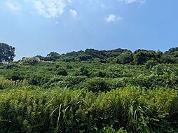 淡路市岩屋字田ノ代 土地