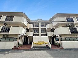 甲南オークス摩耶