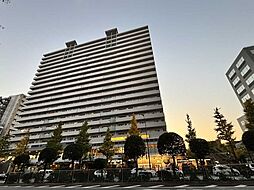 エルアージュ小石川