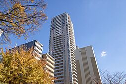 グランドメゾン上町台ザ・タワー