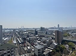 レックスシティアルベール