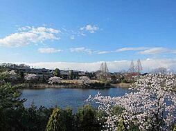 中登美ヶ丘2丁目　土地