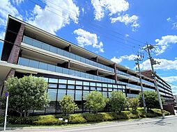 イニシア桂大橋