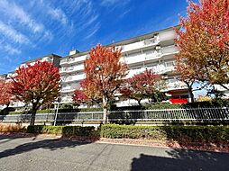 芦屋緑2住宅　5号棟