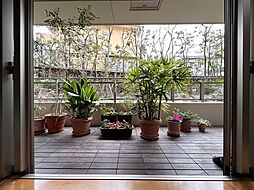 グランドメゾン住吉本町ネクス