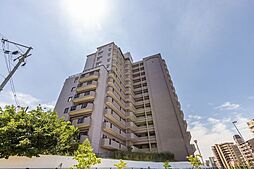 パインフィールド緑地公園