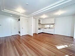 豊中市南桜塚1丁目　戸建