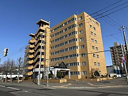 朝日プラザ東札幌III