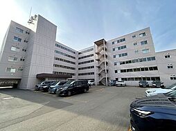 チュリス澄川