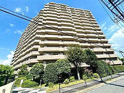 グローサス朝霞台