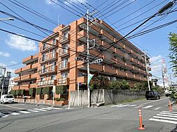 ハイラーク南浦和