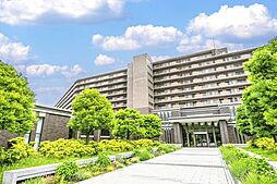 ユニヴェルシオール学園の丘