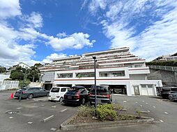 アデニウム玉川学園