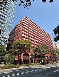 シヤンボール大名