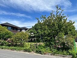 千葉県浦安市入船4丁目