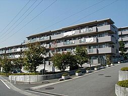 東建ニューハイツ緑園都市壱番館