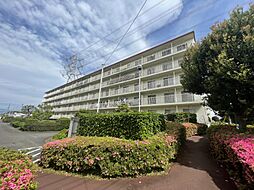 グリーンハイムいずみ野11