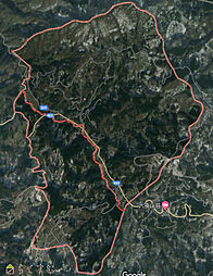 安塚区坊金山林