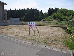 佐藤池新田土地