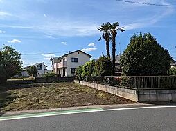 上野本売地