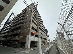 ドルフ灘スタッチオ