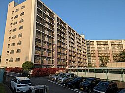 市ドリームハイツ壱号棟 512