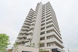 ヴェルディ芳泉