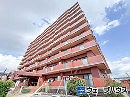 セザール岡南