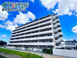 アムール板付