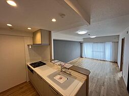 サンパーク薬師山　フルリフォーム済