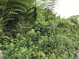 不動産販売 愛媛総合1459 土地 今治市波方町波方