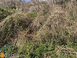 不動産販売 愛媛総合1914 土地 今治市吉海町名