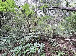 遠賀郡岡垣町大字原　土地