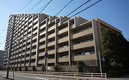 コスモひばりが丘ザ・ガーデンズフォート　コンフォートヒル