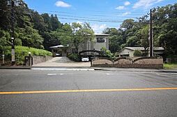 日向市東郷町山陰字桂原乙