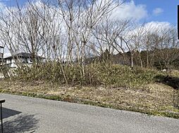 日光市板橋 約119坪の土地