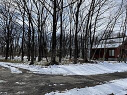那須町大島　角地約186坪