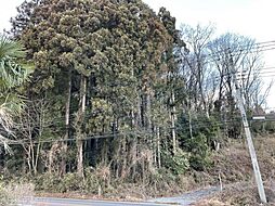 矢板市土屋 約1438坪の土地