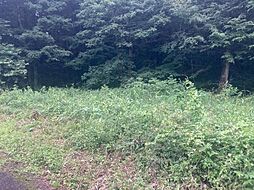 日光市山口約87坪の土地