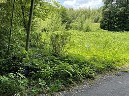 那須町高久甲約242坪の土地