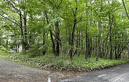 那須町高久乙 約150坪の土地
