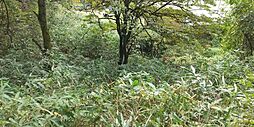 日光市所野約40坪の緑豊かな別荘地