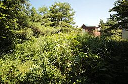 約100坪 那須塩原市青木(土地)