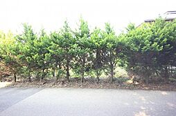 約87坪 国道4号線まで車で2分 那須塩原市二区町(土地)