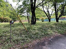 約166坪 日光市萩垣面(土地)
