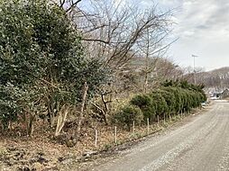 那須町豊原乙約260坪
