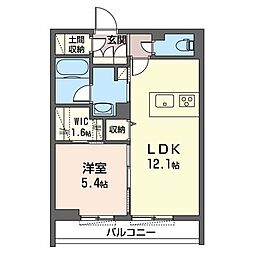 セルディーナ 00203